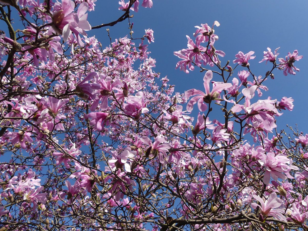 Mein Fotokalender 2026 ist fast fertig. Hier nochmal ein Vorgeschmack für Euch. 
Da auch letztes Jahr einige Interesse hatten, biete ich den Kalender hier auch diesmal zum Unkostenpreis wieder an. 
Wer einen haben möchte, beachte den nachfolgenden Post:

1/3
