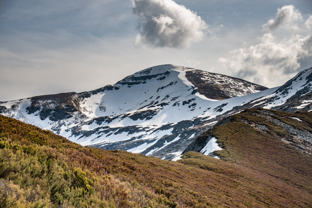 rutinasvarias.com tweet media