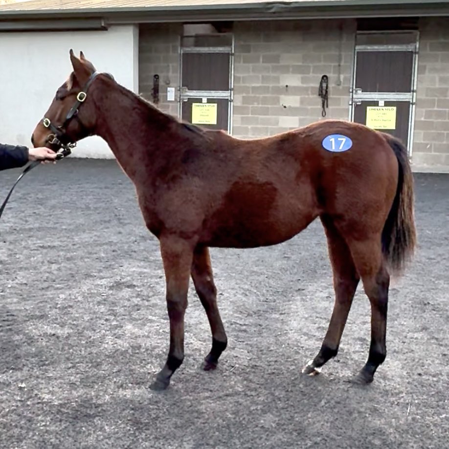 Kevin Blake tweet media