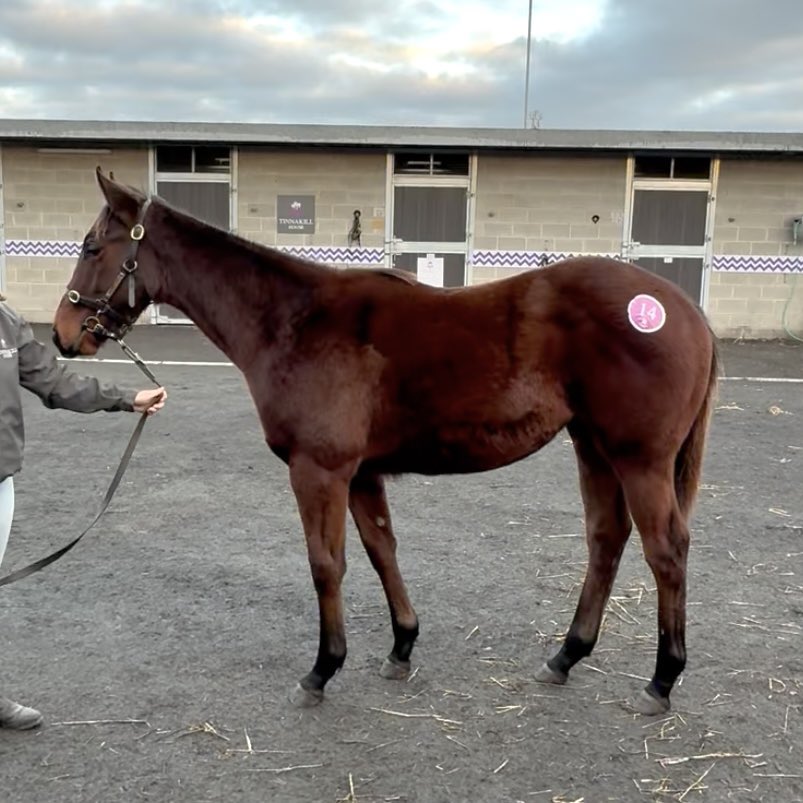 Kevin Blake tweet media