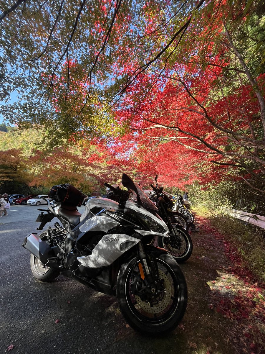 お疲れ様です。 ツーリングで、茨城県へお邪魔 しました。紅葉綺麗で