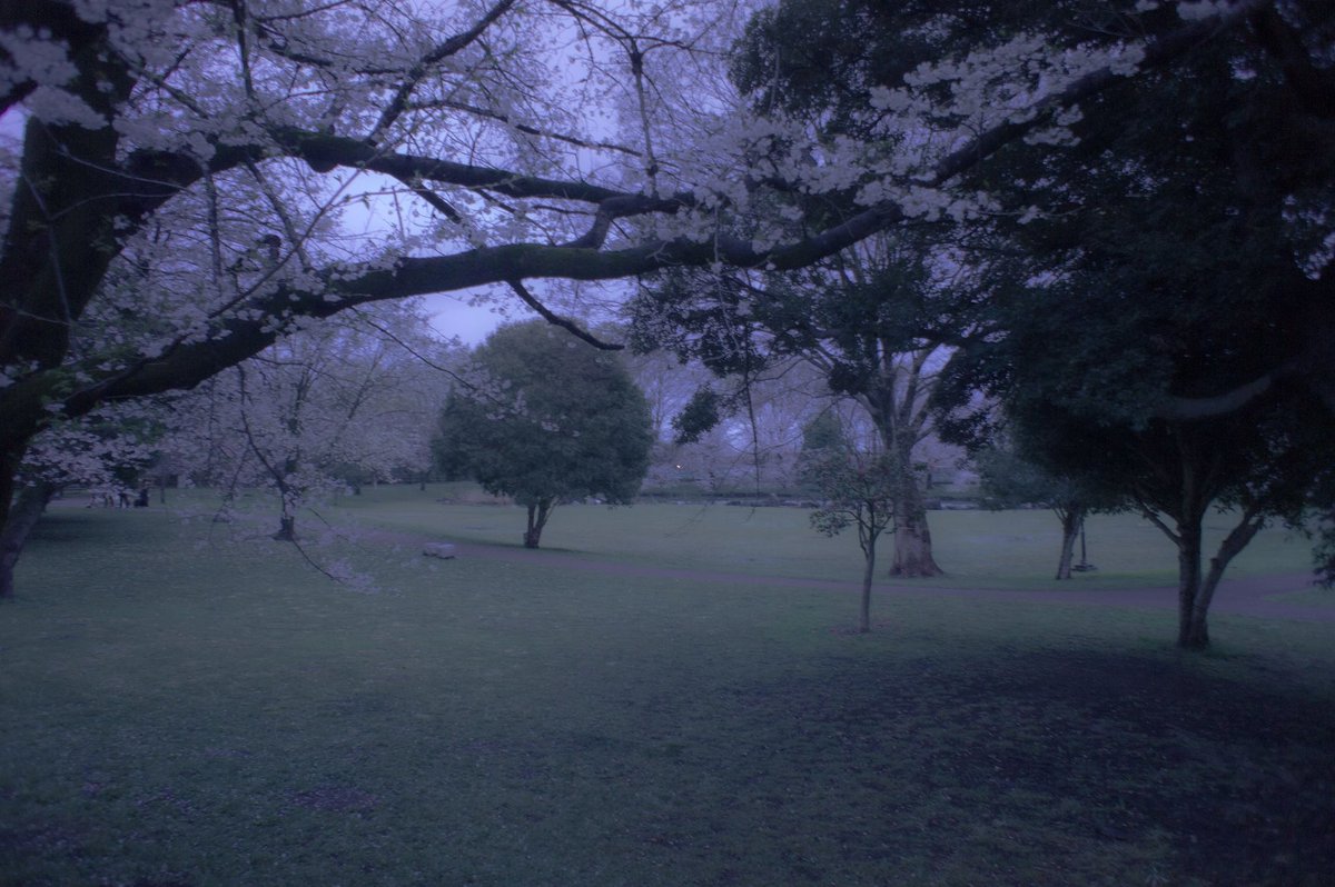 nyafu (@n55_pafu) on Twitter photo 