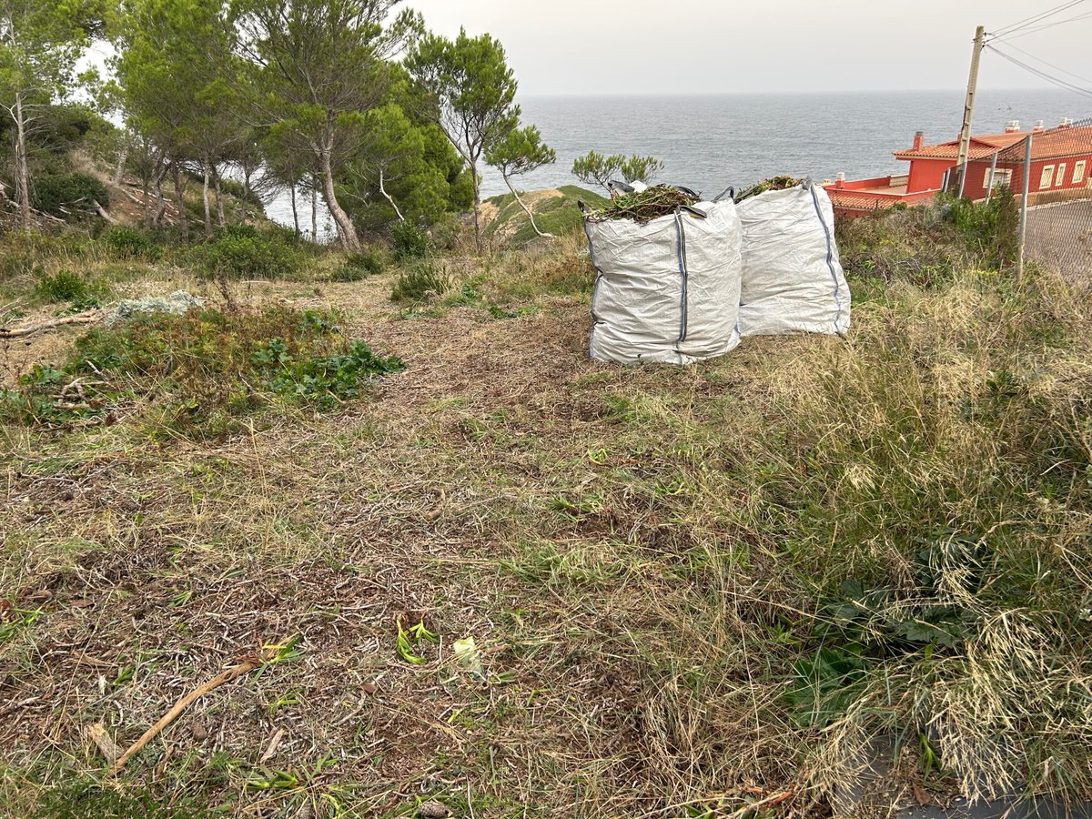 BIOSFERA tweet media