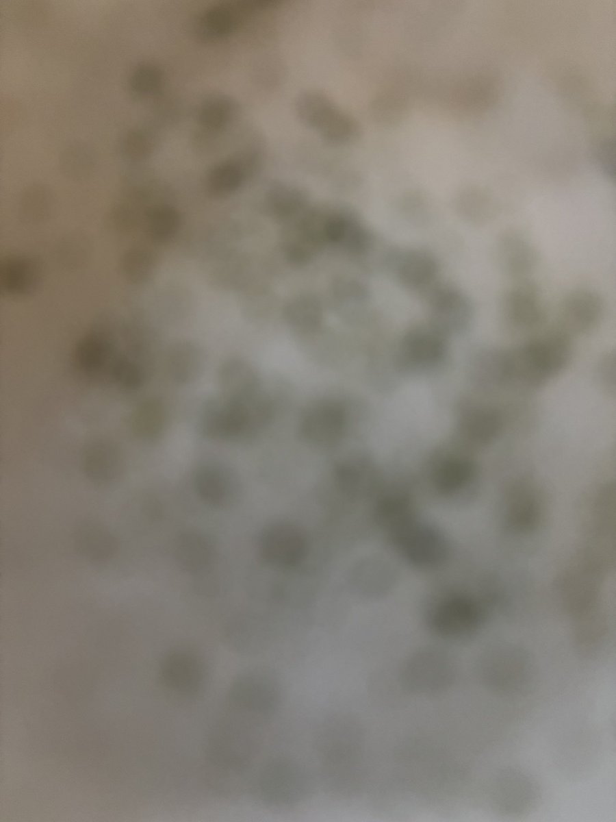 スタバのよくわかんない新作スープうんめぇえええええ