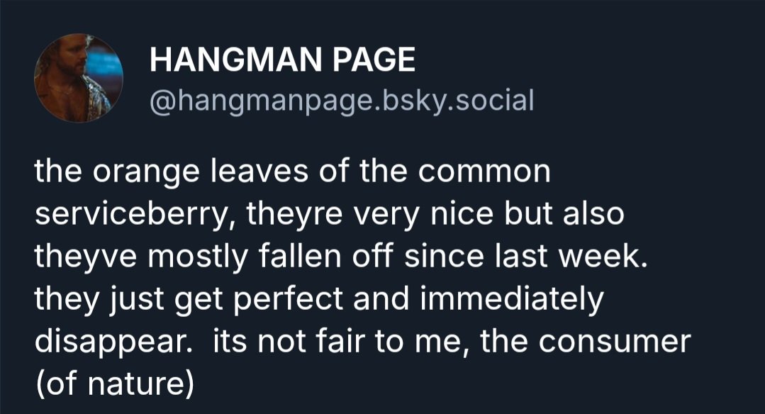 hangmediaa's tweet image. orange leaves of a common serviceberry