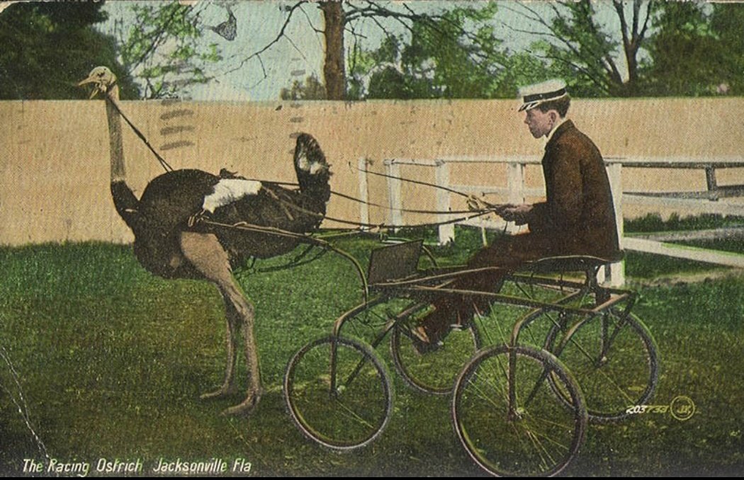 How are you getting to Nostrshire?