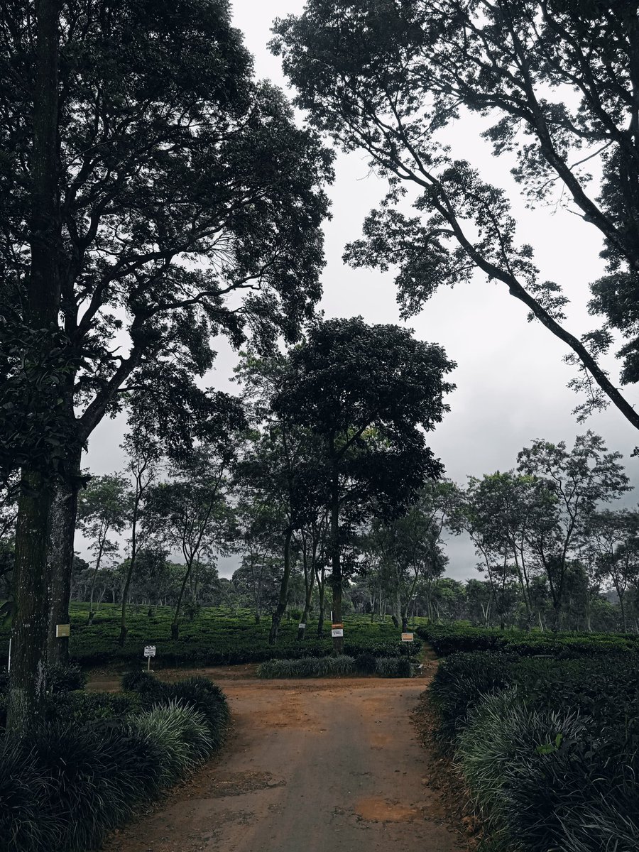 Past won't leave my bed