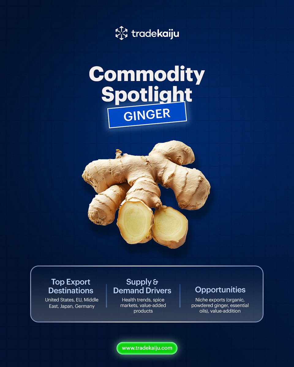 This week, we’re turning the spotlight on ginger, one of Africa’s fastest-growing export opportunities. With demand rising across global markets, there’s real potential to be explored in this commodity.#Ginger #CommoditySpotlight #Agricuture #Tradekaiju