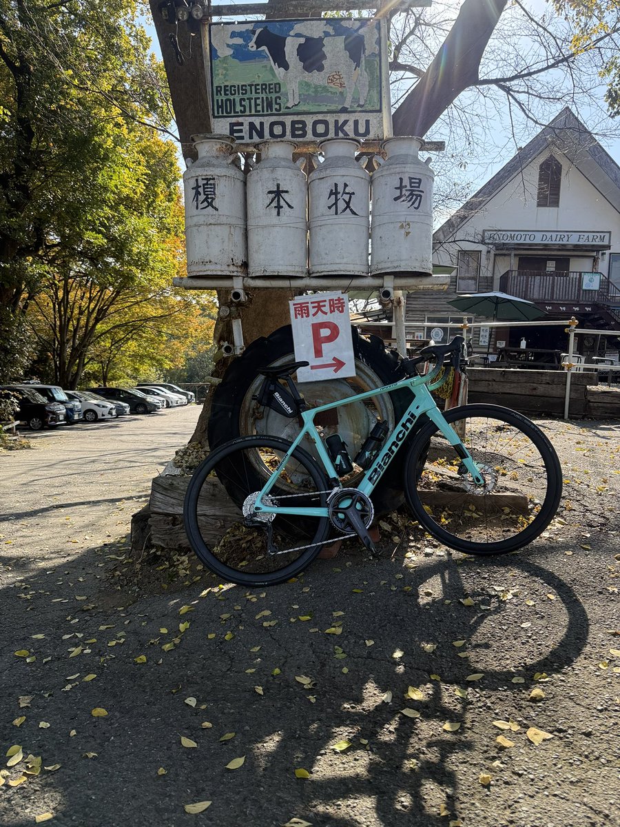 ct0_ax's tweet photo. 昨日のサイクリング🚴目的地は、榎本牧場🐮

カメラ構えたら、向かって来てビックリ
ど迫力の写真が撮れました📷

#ロードバイク　#榎本牧場 https://t.co/QtWCWDaIhl