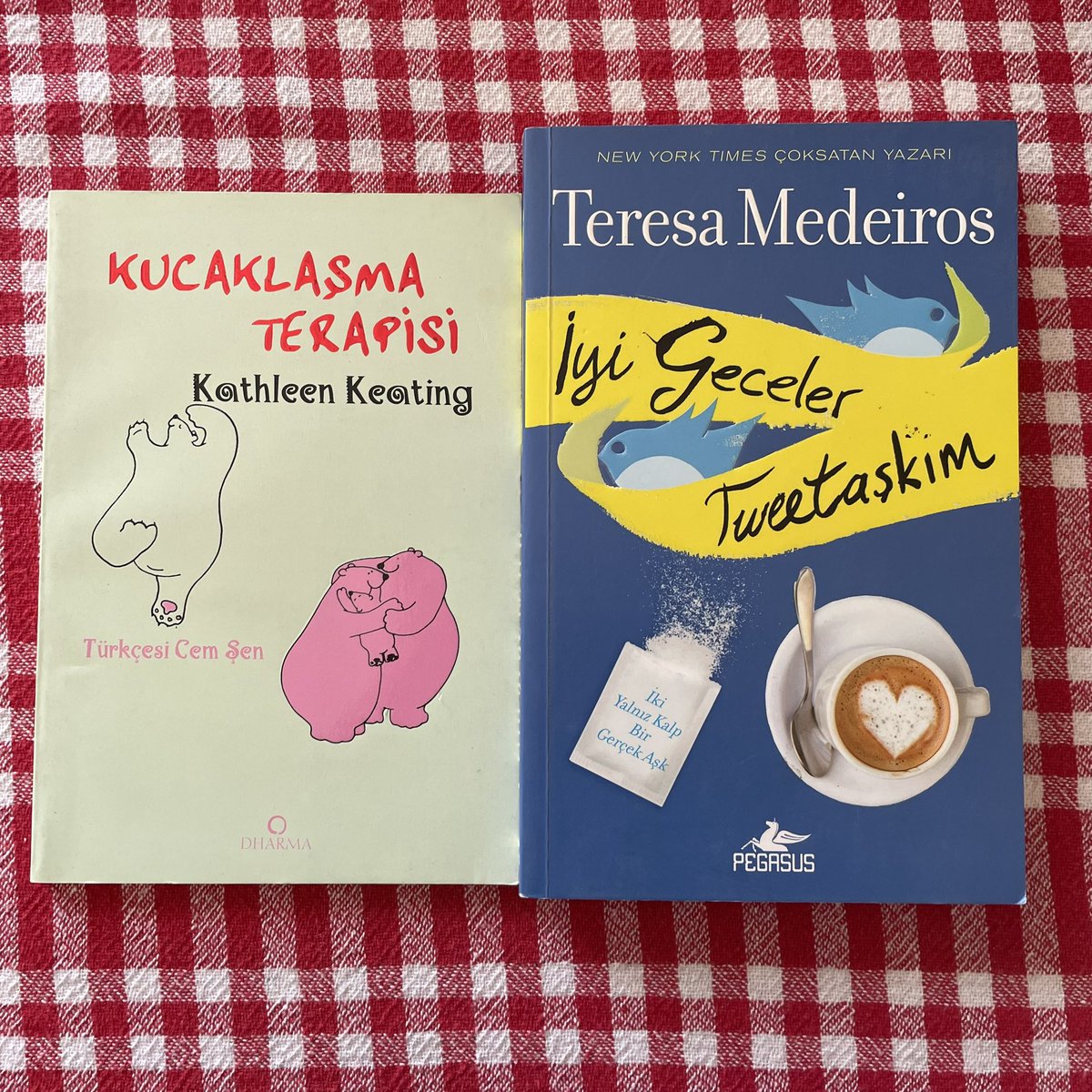 pivotablee's tweet image. nadirkitap bargain deals. @____Kayra____