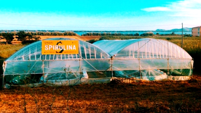 Passo passo

La storia di Brando, che lascia l’ufficio per coltivare spirulina in Maremma, e quella di chi rinuncia alle chiacchiere di circostanza per un mese.
Piccoli cambiamenti che ribaltano una vita. Alle 15 su <a href="/Radio24_news/">Radio 24</a> <a href="/matteocaccia/">matteo caccia</a>