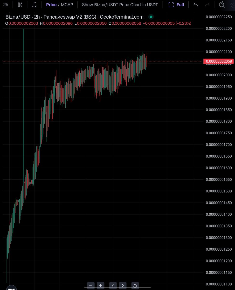 Biznana_Army's tweet image. $Biznana Chart is a beauty 
 #memepump #pancakeswap