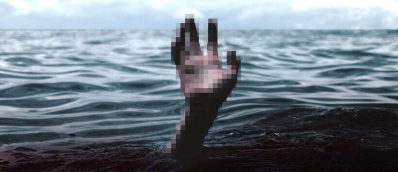 Pressenza in italiano tweet media