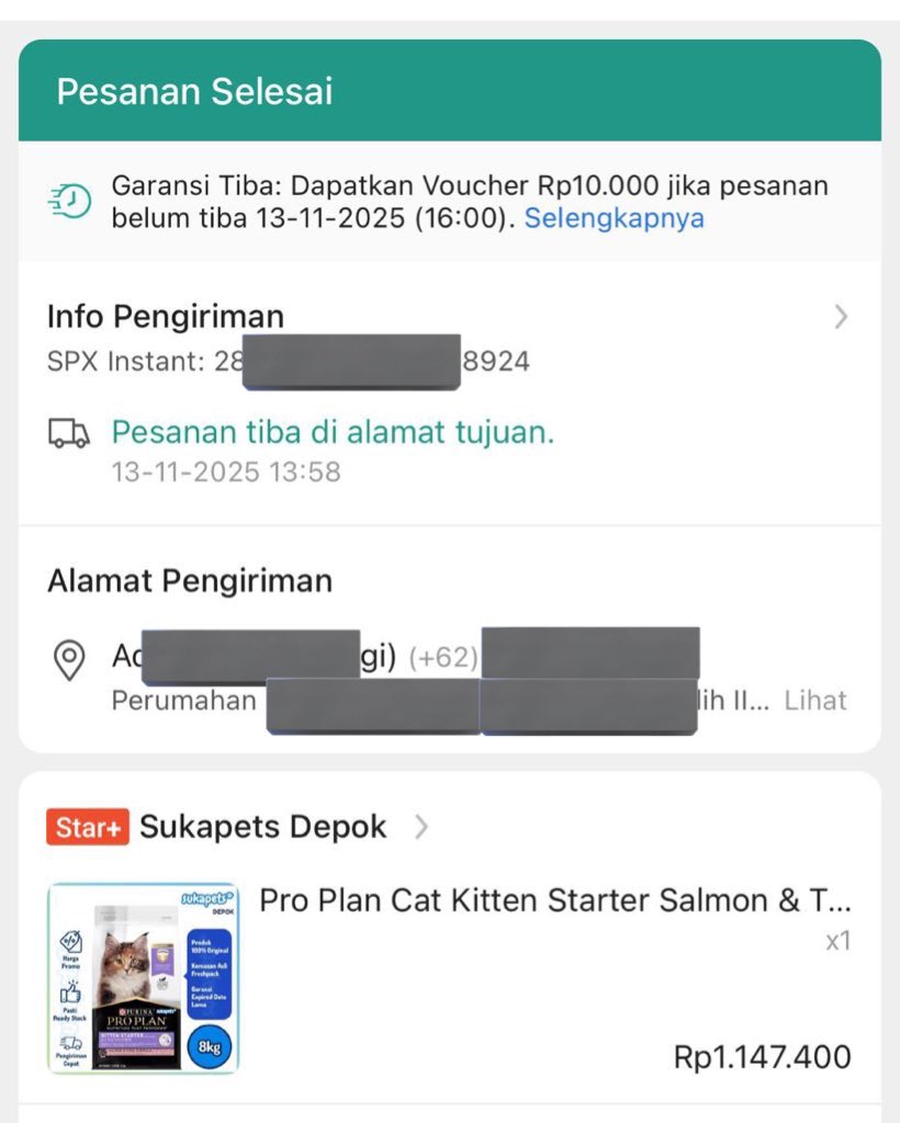 zila 🍉 tweet media