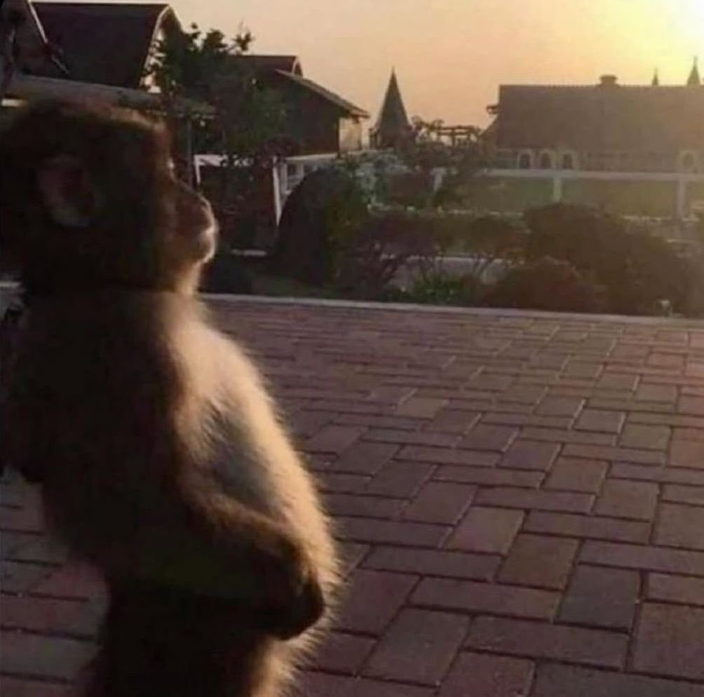 Me watching Portland lose it all