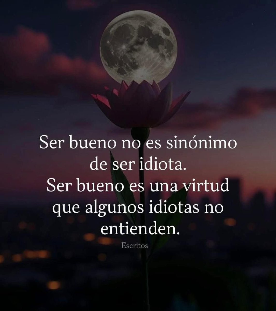 Chuy Sibilla Oropesa tweet media