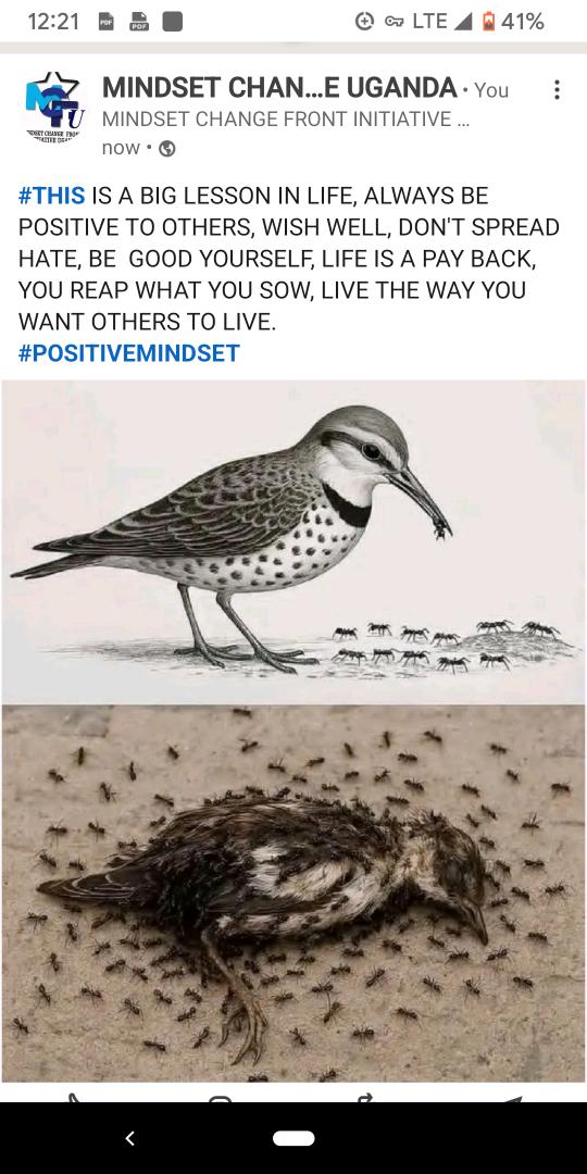 MINDSET CHANGE FRONT INITIATIVE tweet media