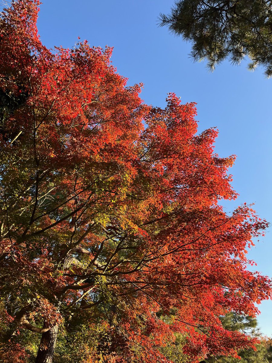 PqxEt's tweet photo. https://t.co/I13LBGpEID