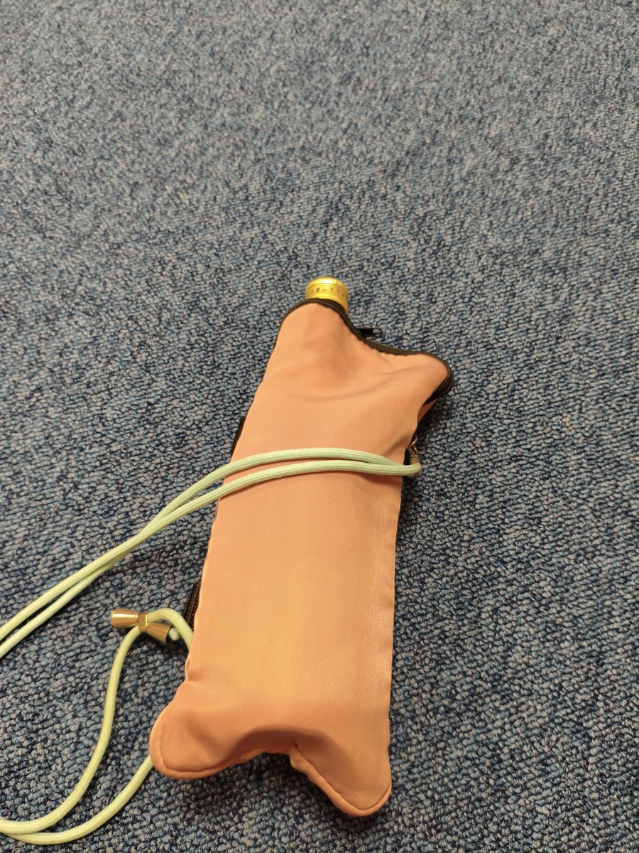 いつもミックスペンラ入れるのに使ってる折りたたみ傘用ケース、土産の