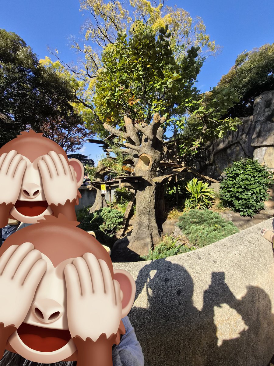 goodegg0843 tweet media