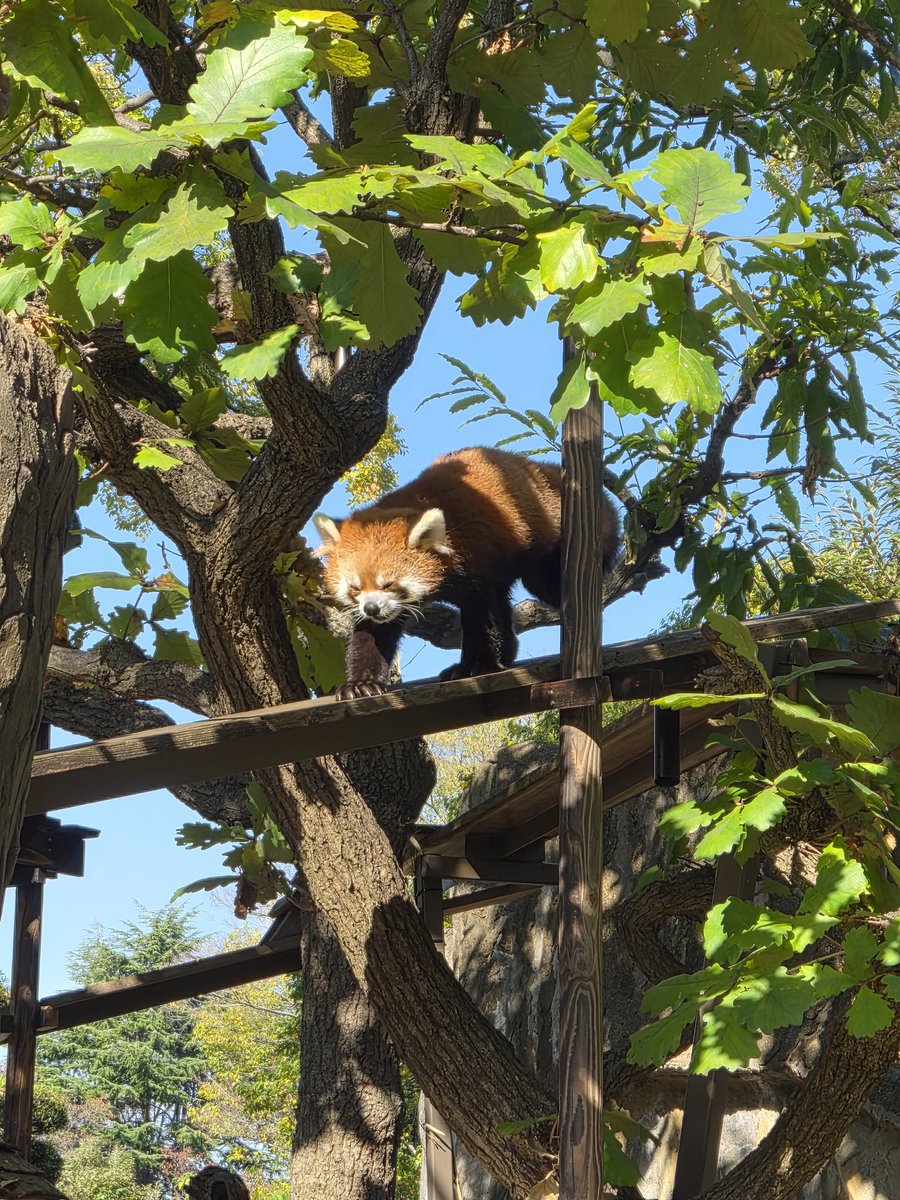 goodegg0843 tweet media