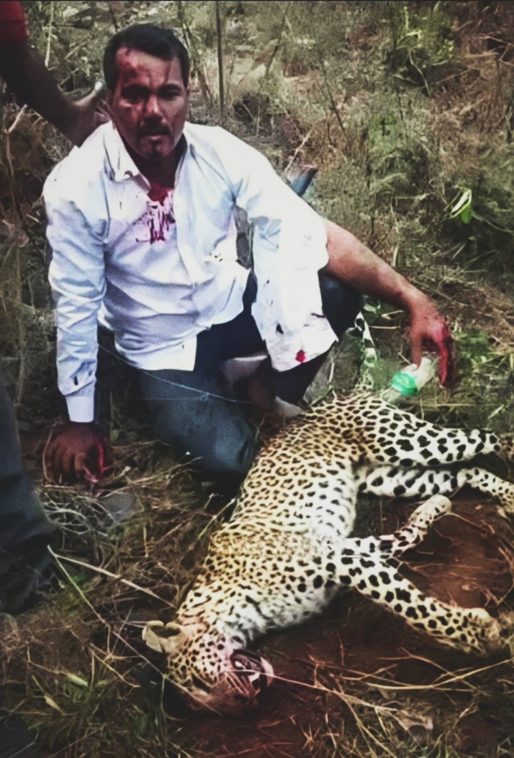 Indians Posting Ws tweet media