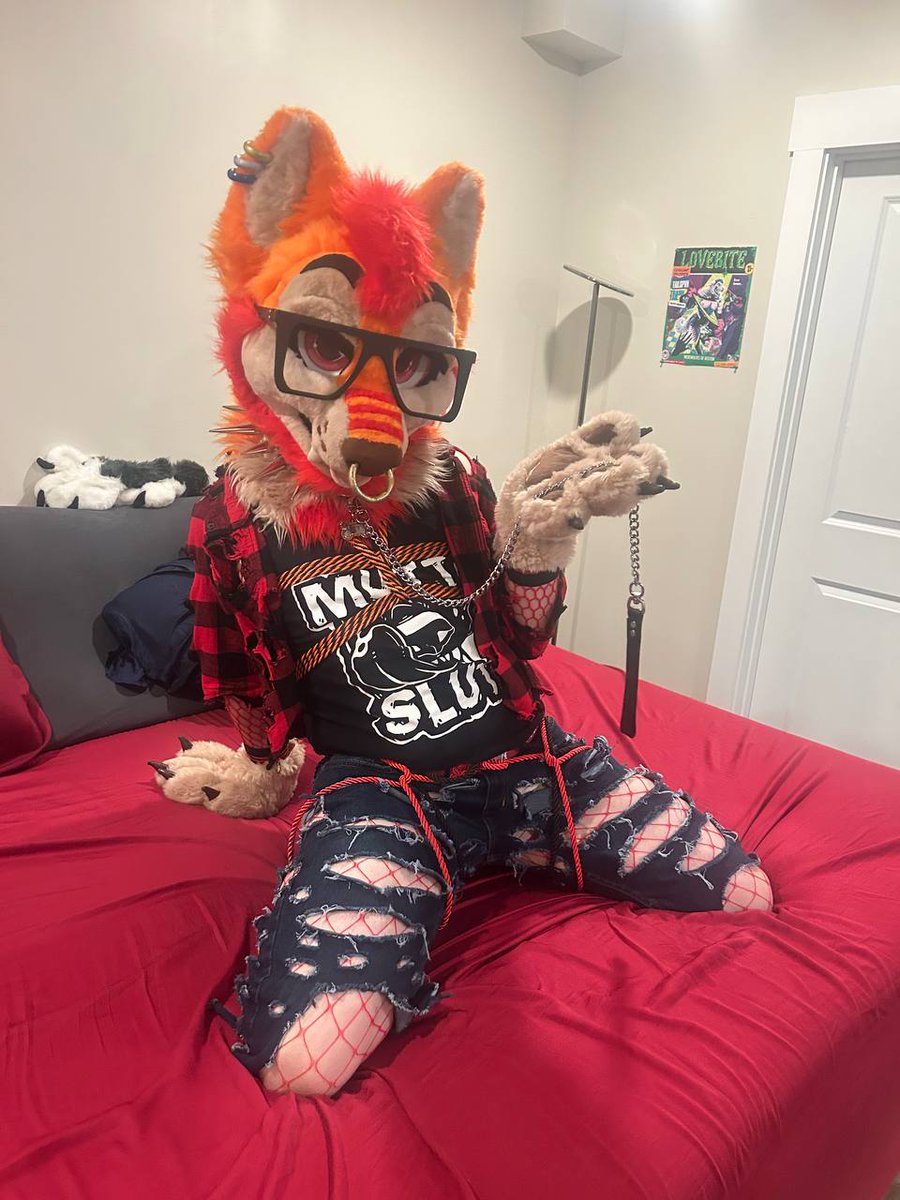 Maxy Wuff tweet media