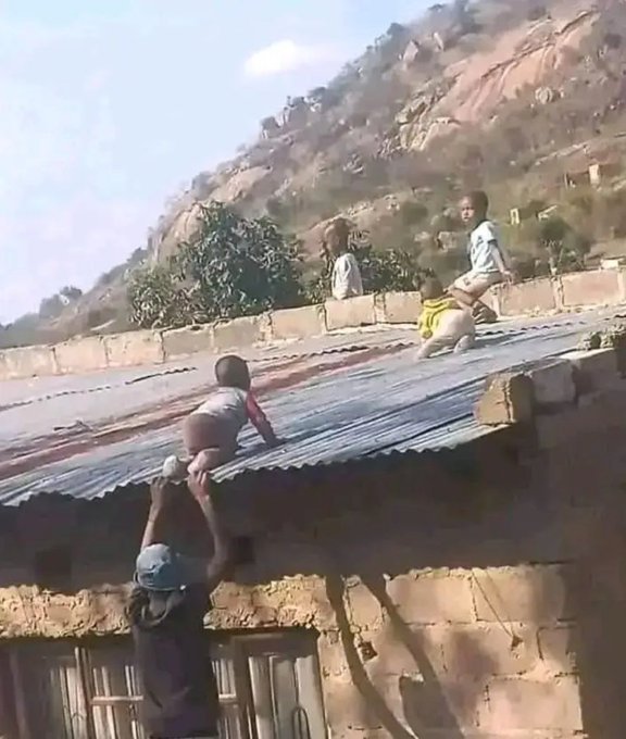 256Rootyherman's tweet image. Looking for customers after opening a new clinic at the village