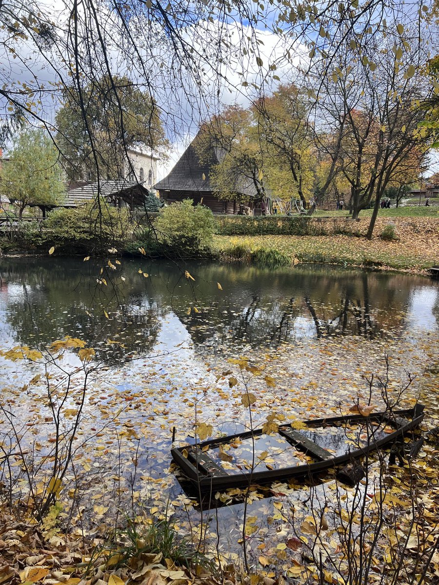 living_in_ua's tweet image. 