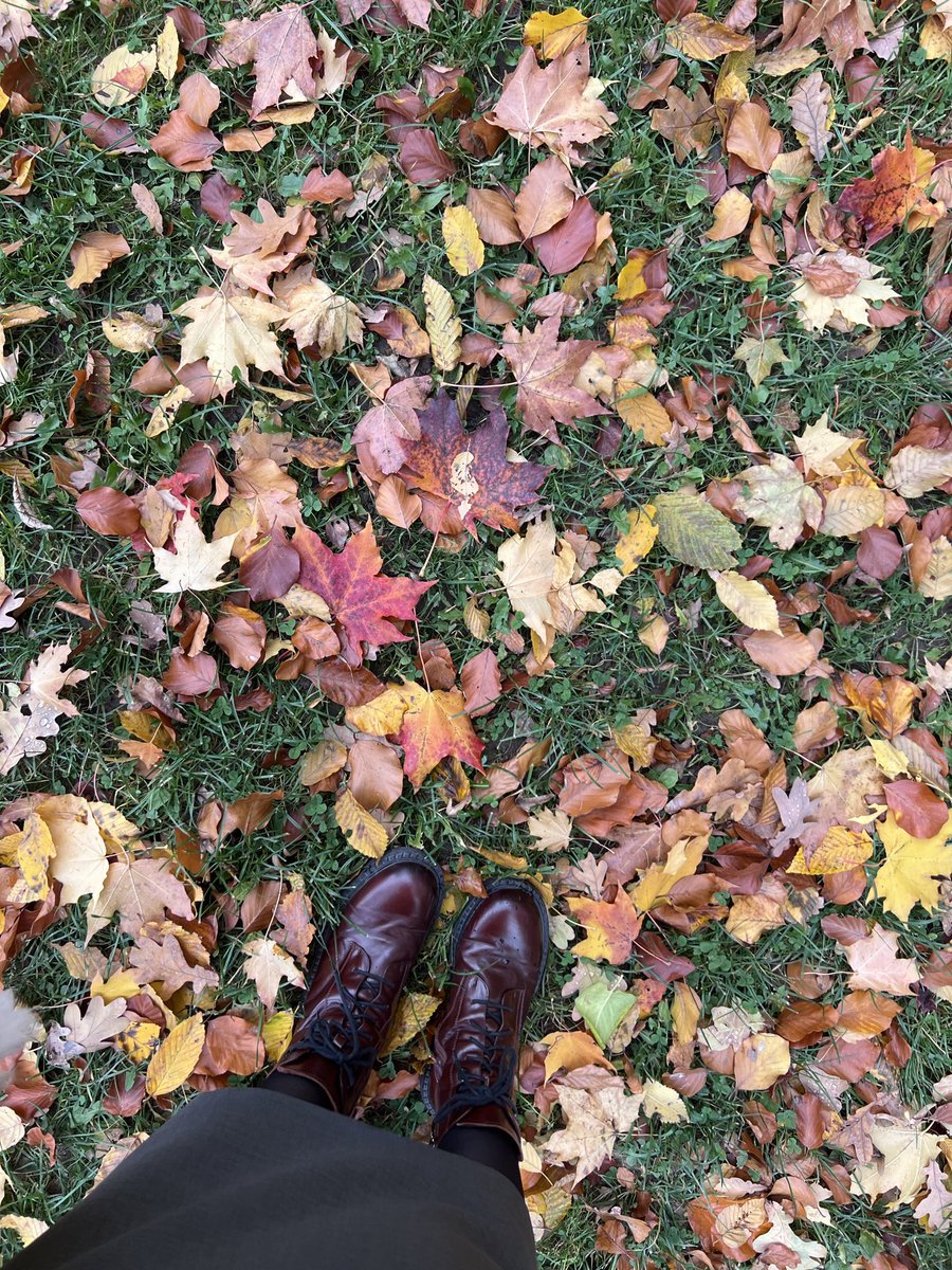 living_in_ua's tweet image. 