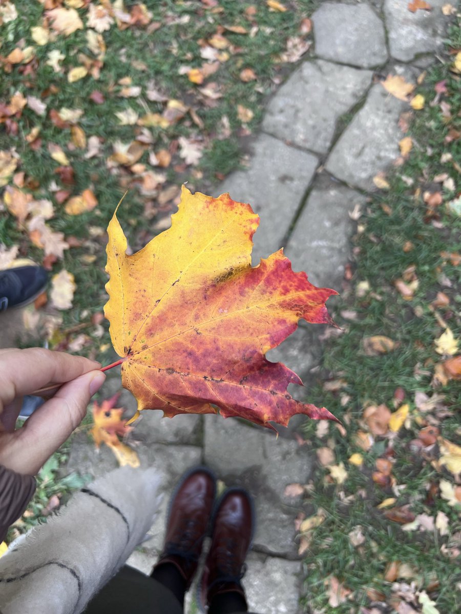 living_in_ua's tweet image. 