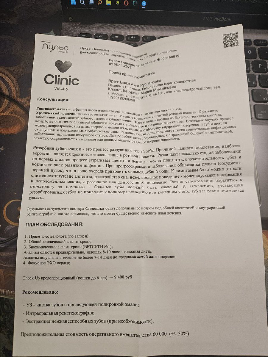 teacherrka's tweet image. Ребят, очень нужна помощь моим знакомым! У их кошечки, Сплюши, гингивостоматит и резорбция зубов, организм отвергает собственные зубы и нужна двухэтапная операция по удалению 😭 помогите пожалуйста если есть возможность 💔

tbank.ru/cf/8FN29V74Ocq

messenger.online.sberbank.ru/sl/UXlNoMYIyl7…