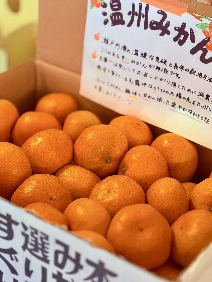 ＼本日のOASIS／
はっしーさん <a href="/hassy0607/">橋田一秀@OASIS FUND</a> のお知り合いからのみかんがOASISに✨

利用者のみなさんといただきました🍊

スタートアップのみなさま、寒い季節ですがビタミンも摂って体調気をつけていきましょうー！