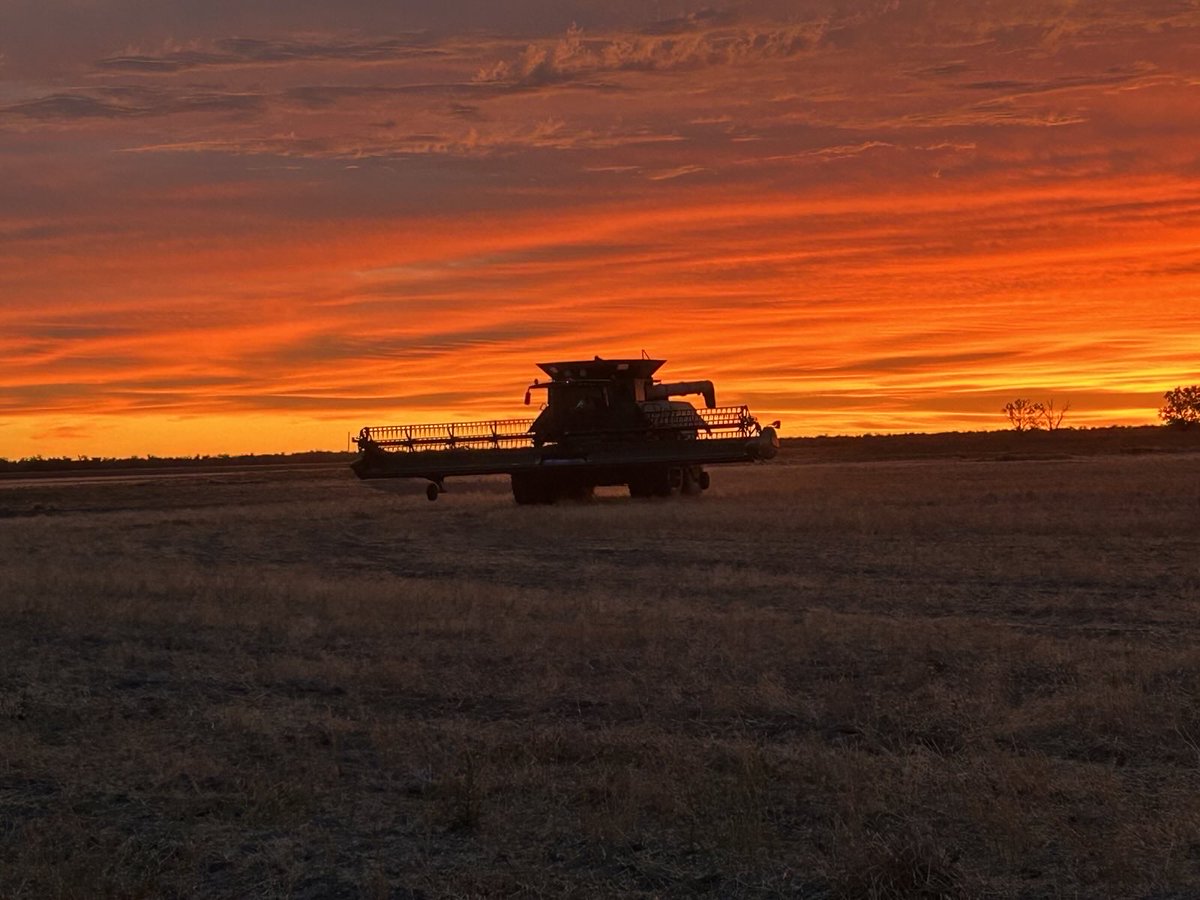 Pretty cool photo of a sunset!