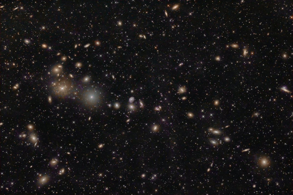 ☀モグアイページ ☀モグアイページ mogu05🍙🔥🌰'MOGU DESIGN WORKS' (@mogu05) / Posts / X