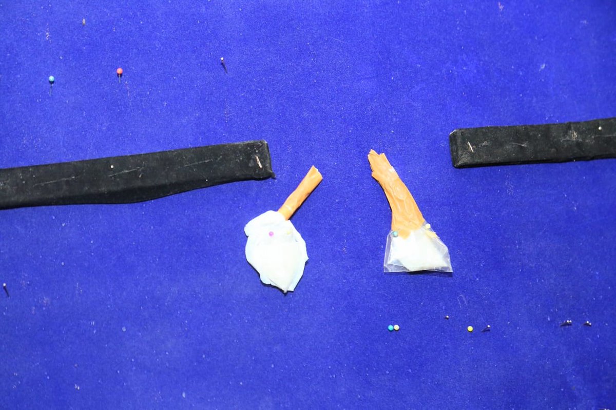 police_guntur's tweet image. మాదక ద్రవ్యాలను (MDM) అమ్ముతున్న, కొంటున్న 06 మంది యువకులను అరెస్ట్ చేసిన పాత గుంటూరు పోలీసులు.......
@APPOLICE100 
##GunturDistrict 
#AntiDrugOperation 
#NarcoticsControl 
#GanjaSeizure 
#PoliceArrests 
#CrimeControl
 #YouthSafety 
#LawAndOrder 
#DrugAwareness