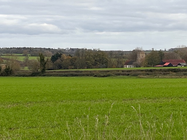 Rosie P 🦇 🦎 🕷️ 🦭 🐌 🍃🌳🚲💧 tweet media