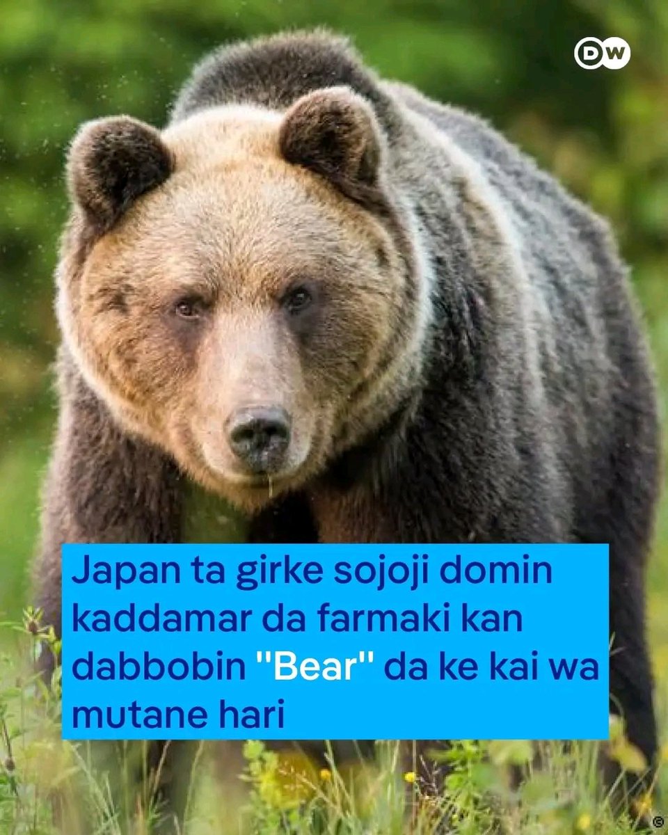 Ahmadweb3tech's tweet image. We are back 💪

Let&apos;s continue😇

Just do it now🤑