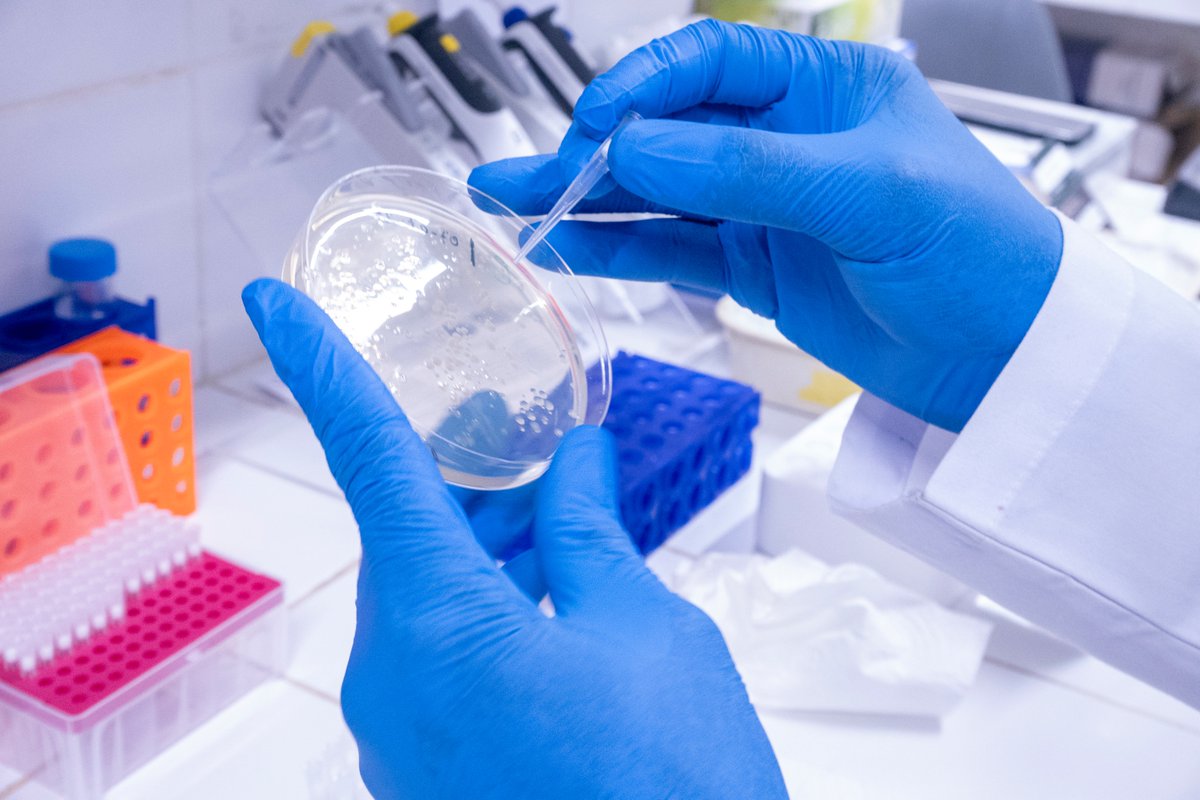 The fight against vector-borne diseases necessarily involves strengthening capacities of researchers in the field of vector-borne diseases.
At ACEME, our researchers are developing plasmid and primer design capabilities.