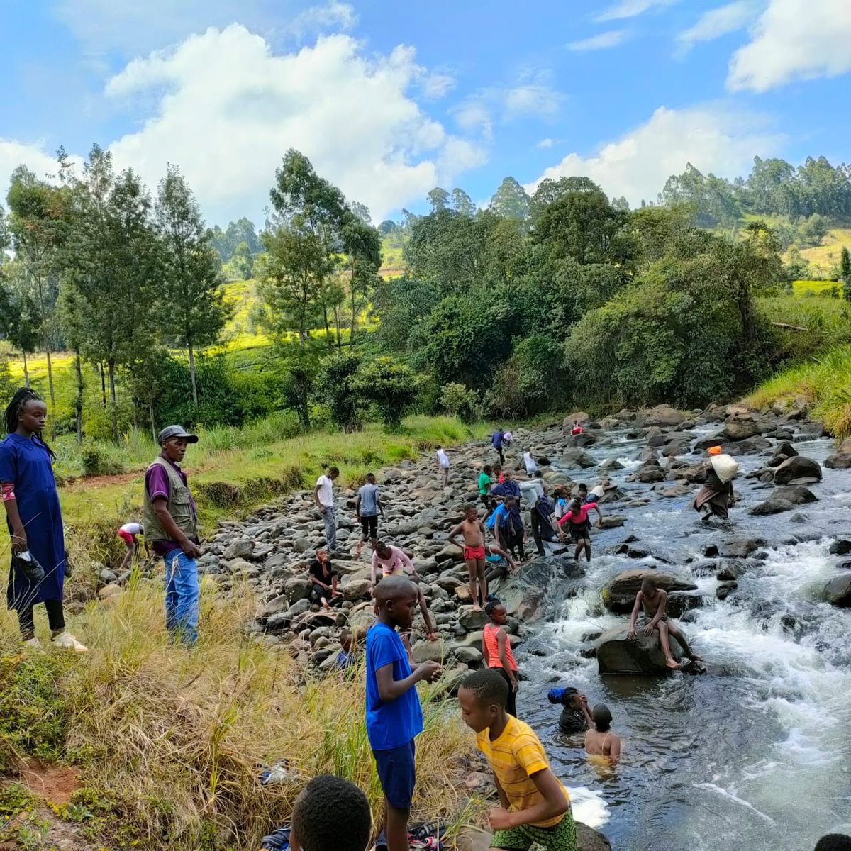 Aberdare Cottages & Fishing Lodge tweet media