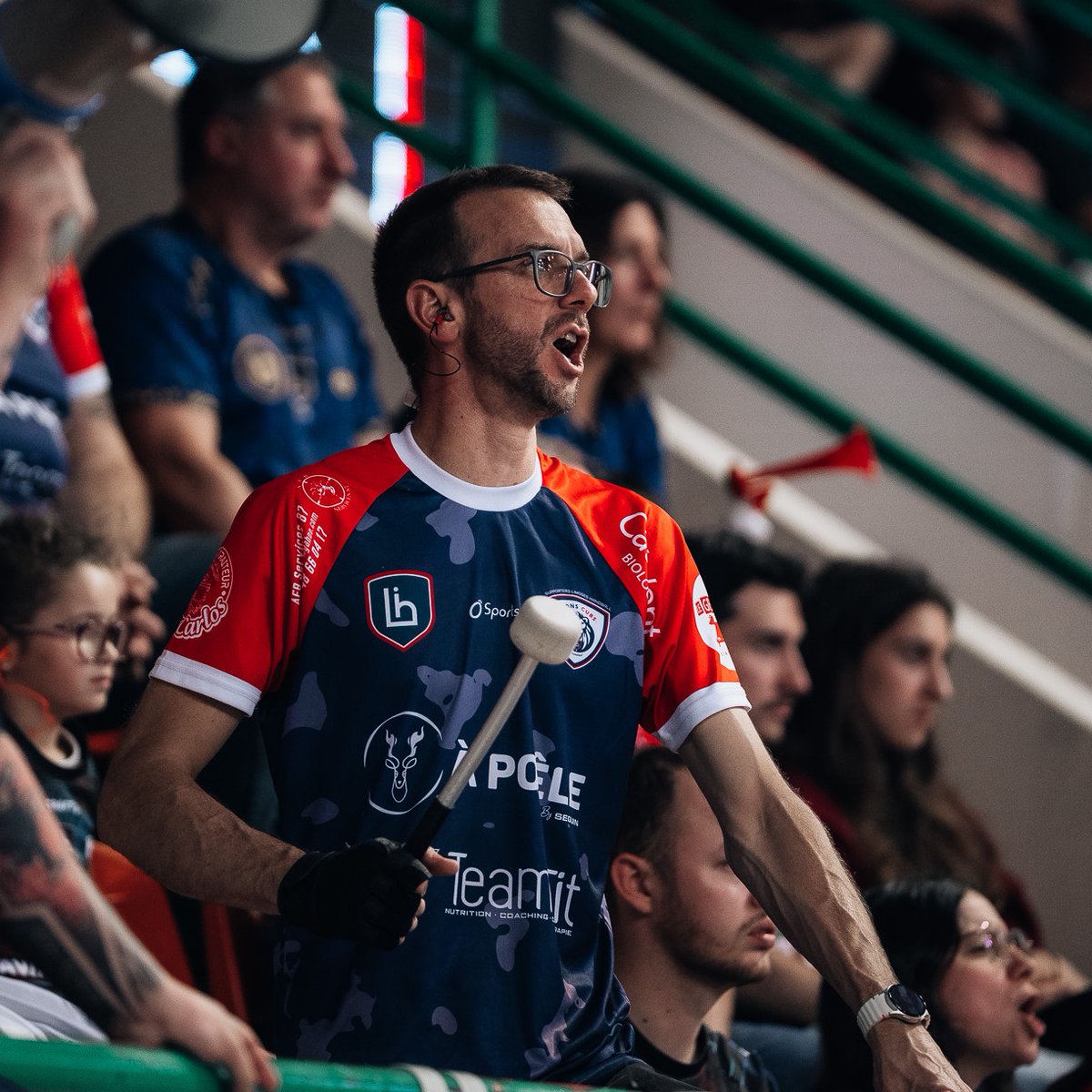 Limoges Handball tweet media