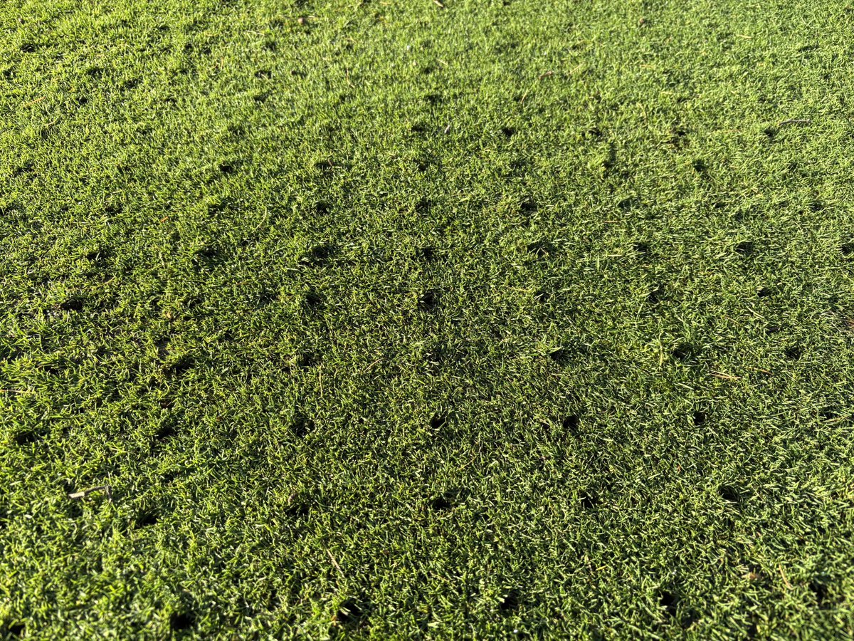 Crompton and Royton Greens tweet media