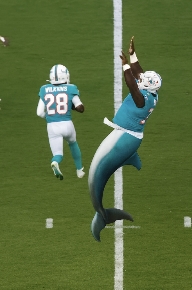 ChrisChainGV's tweet photo. @NFL_DovKleiman Phins up https://t.co/hTuS81NXVK