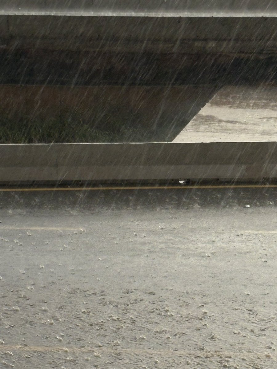 iiiQEll's tweet image. ❣️