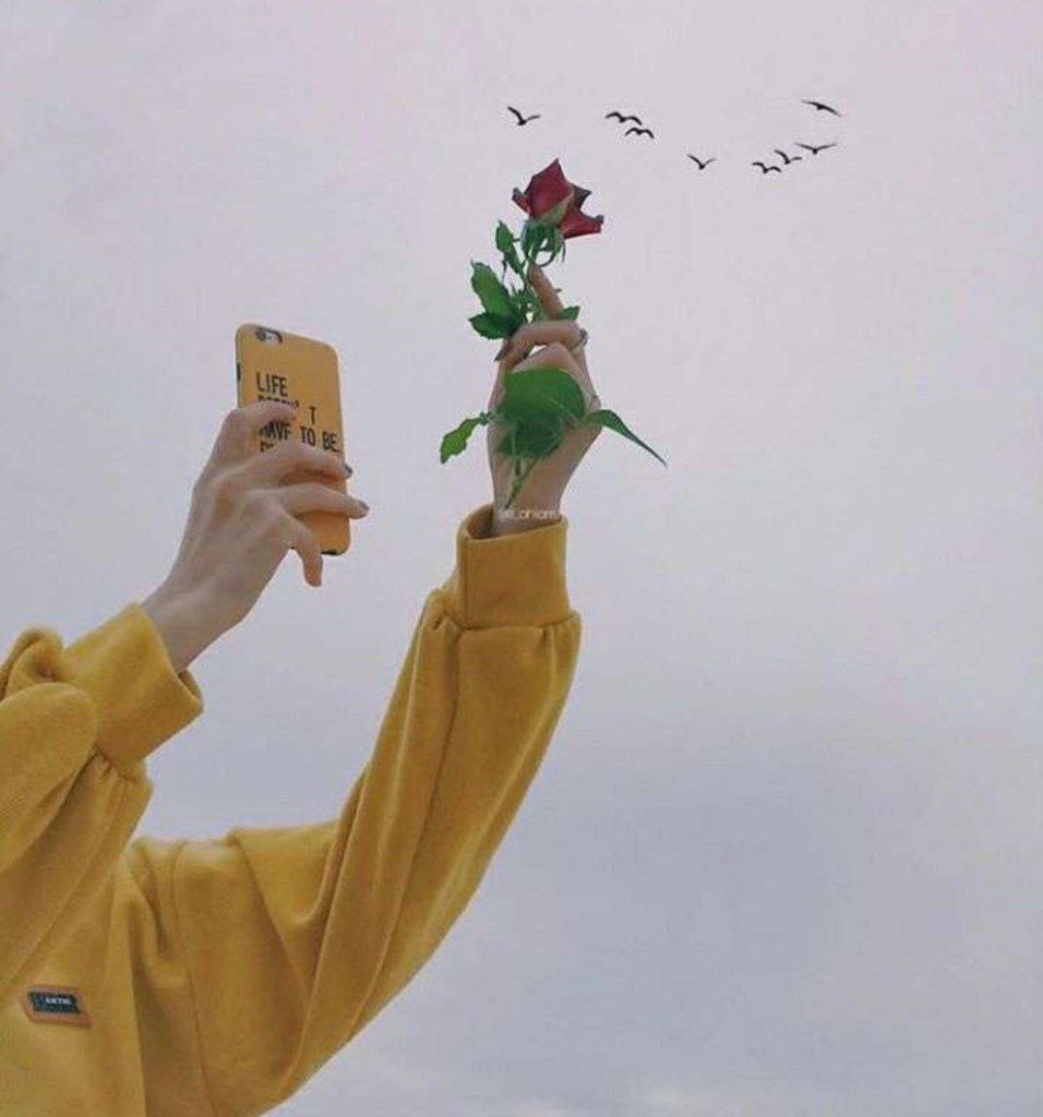 إهدآء ل نفسي :

في راسي الثابت شُموخ الممَاليك
بدري على الدنيا تزعزع ثباتي 😌🤍

مسساء_الخـــير🌹