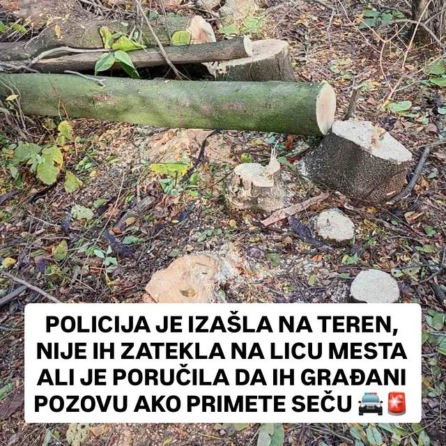 Mirijevo zeleno i zdravo (@mirijevozeleno) on Twitter photo 