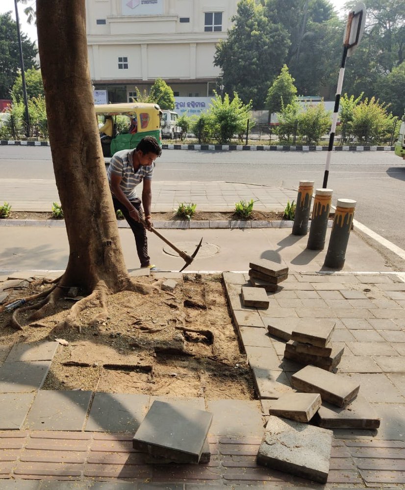 BSCL_BBSR's tweet image. Paver blocks are receiving regular maintenance and repairs. We are committed to ensuring safe and sturdy walkways for all.

#UrbanInfrastructure #CityMaintenance