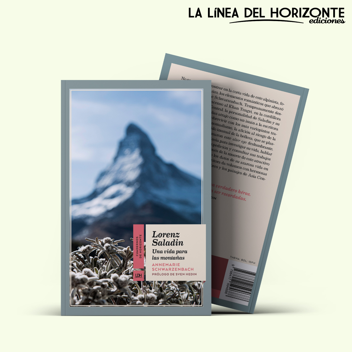 LaLíneaDelHorizonte tweet media