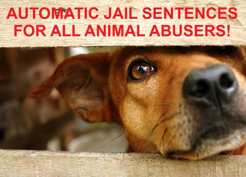 Please answer and RT....

Do you think ALL animal abusers should receive an automatic JAIL sentence? 

Please answer YES or NO ✍️.

🚫 There is NO excuse for #AnimalAbuse EVER!🚫