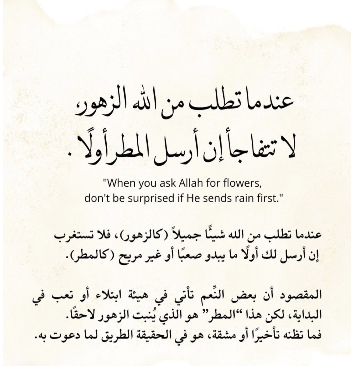 ســـارة tweet media